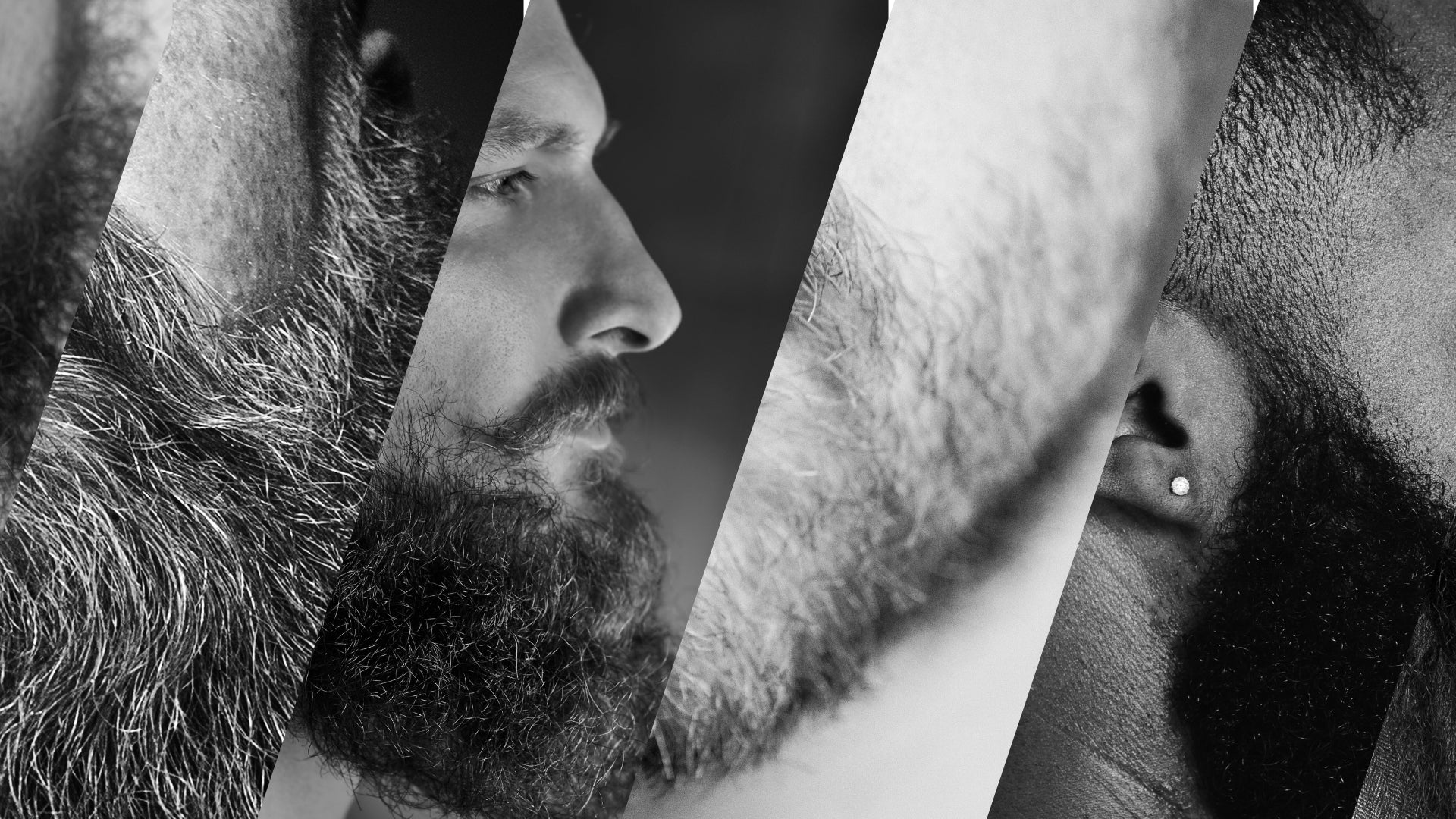 Beard Styles for Musicians | The Bearded Musician