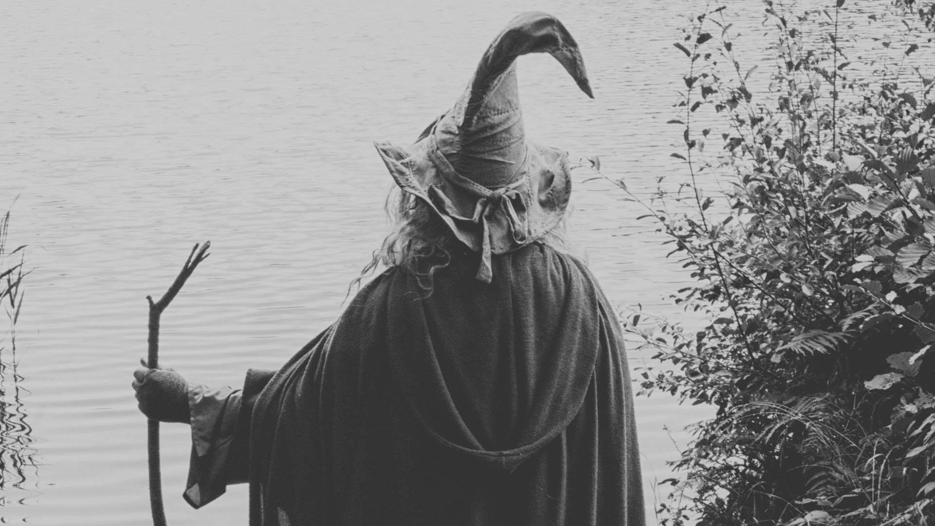 Do Wizards Protect Their Beards? | The Bearded Musician